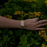Petra® - Elegant Gold Watch Featuring Roman Numerals
