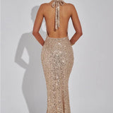 Stellara | Elegant Maxi Dress