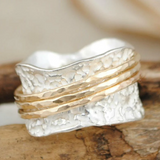Classic Gold and Silver Spinner Ring